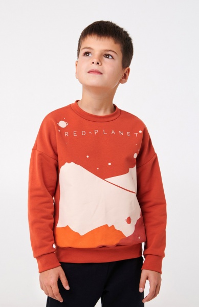 Толстовка для мальчика Smil р.140 кирпичный 116548 