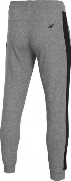 Штани 4F D4Z20-SPMD306-24M р. 2XL сірий