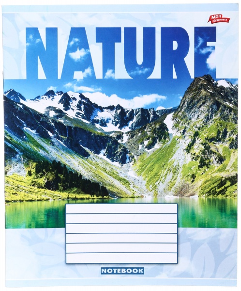 Тетрадь школьная 18 листов в линейку в ассортименте Мечты сбываются