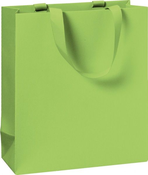 Пакет подарочный One Colour green 18x8x21 см STEWO