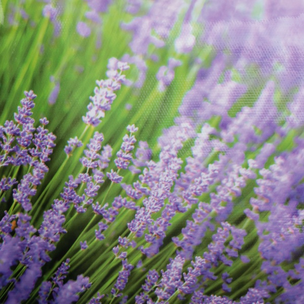 Скатерть Лаванда 137x110 см коричневый Даріана 