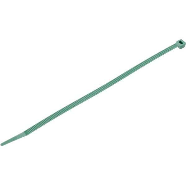  20 см 50 шт. зеленый