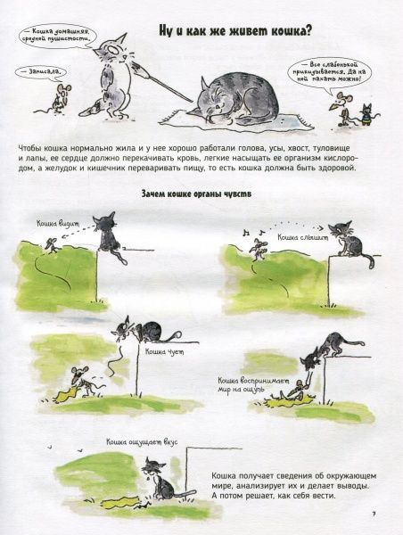 Книга «Книга Кішки.Про що говорять тварини.»