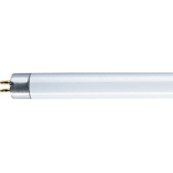Лампа люмінесцентна Osram Lumilux 21 Вт G5 4000 К 220 В T5 (4050300464701) 