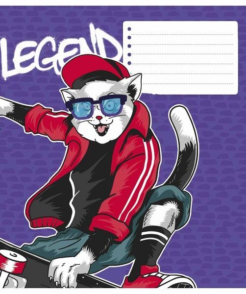 Зошит шкільний B5 18 аркушів у клітинку STAR