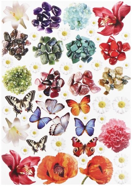 Набор текстурного картона Флора и Фауна А4 10 листов Лунапак