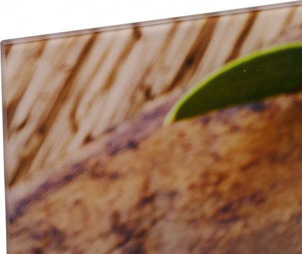 Картина Олива 80x30 см Styler GL-00874 