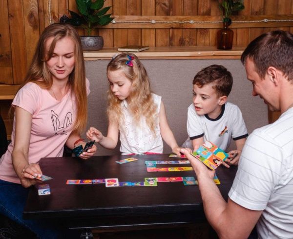 Игра настольная Vladi Toys Домино VT8055-10