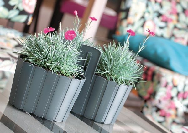 Горщик пластиковий Prosperplast Boardee Wall овальний 2,2л сірий (27412-405) 