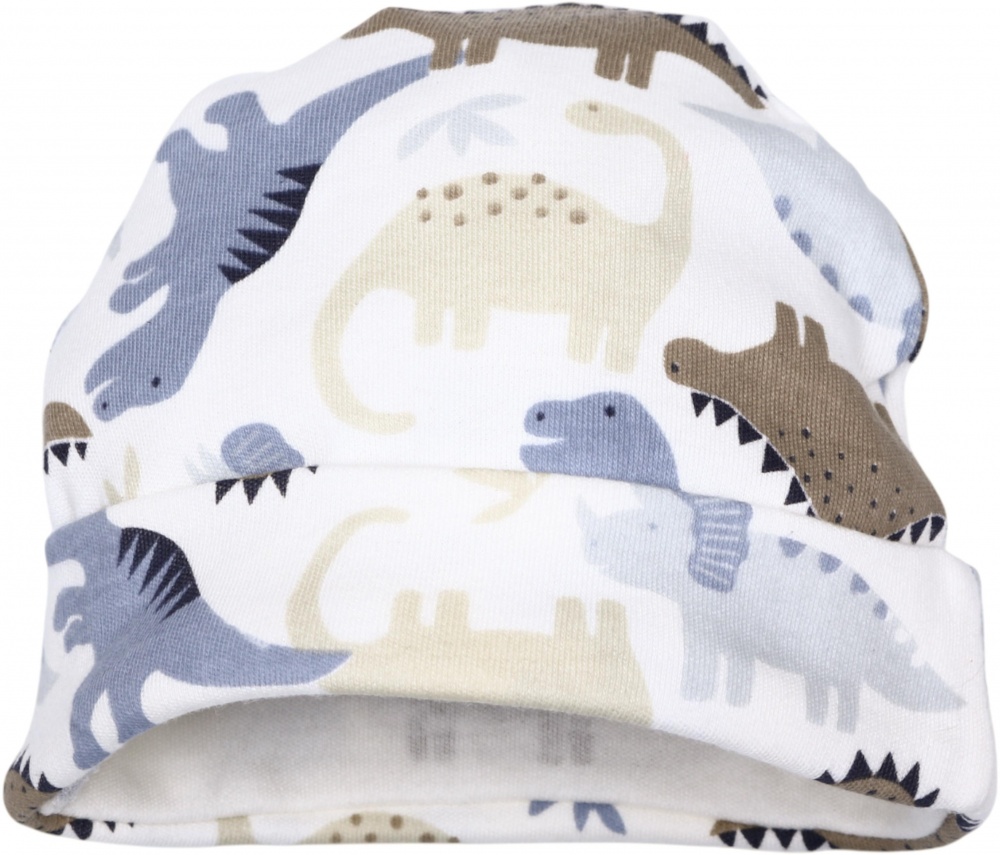 Комплект HW для мальчиков Динозавр 6 предметов разноцветный р.50 FS158B / BKG02219