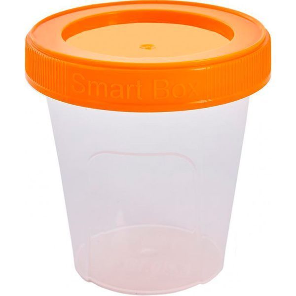Контейнер пластиковая Алеана 124082 «Smart Box» 0,24 л светло-оранжевый