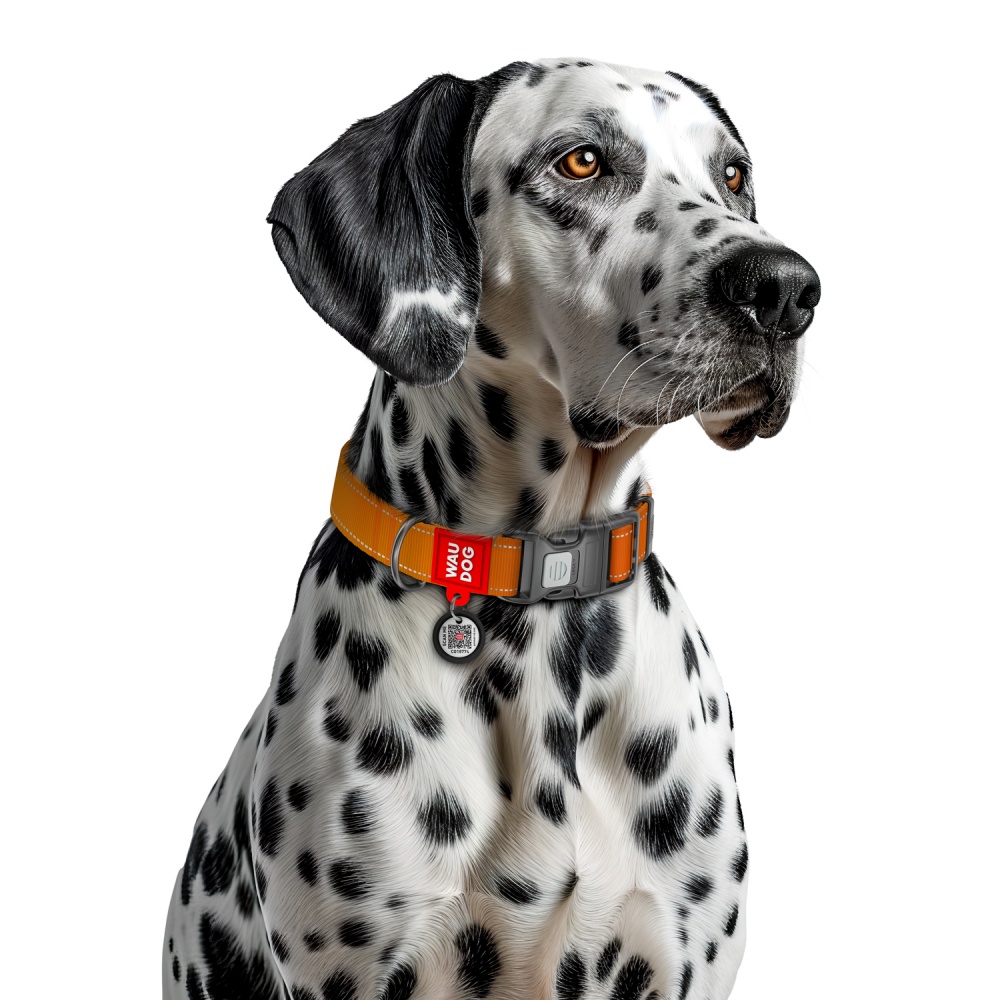 Нашийник Waudog Nylon Mono світловідбивний S помаранчевий нейлон Ш 15 мм Д 25-35 см