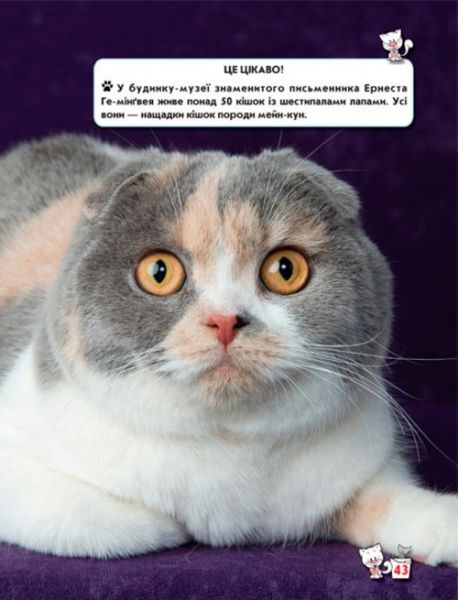 Книга Тамара Протасовицкая «Світ навколо нас. Кішки» 978-966-936-750-1