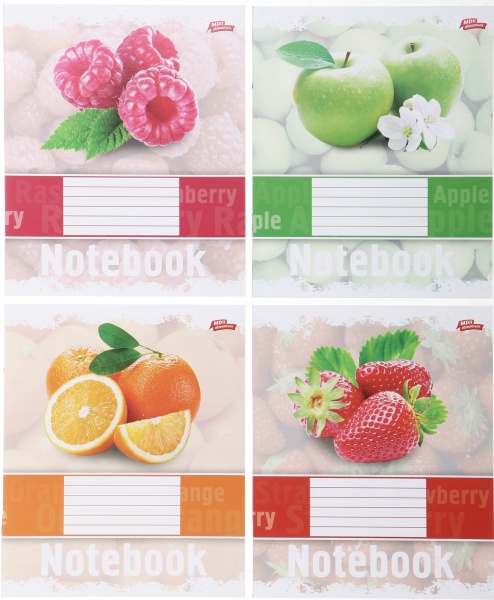 Комплект тетрадей 24 листа в линию 16 шт. Мечты сбываются