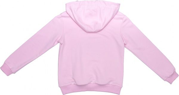 Реглан Sasha р.152 світло-рожевий 4580/2 