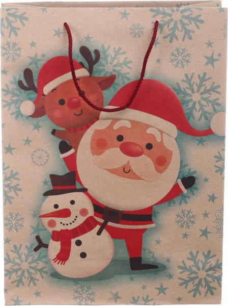 Пакет подарунковий XLL-1 ЕКО НР