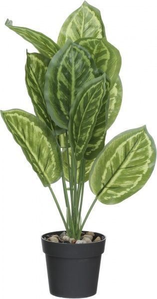 Растение искусственное Аспидистра светло-зеленая PFC(NL)-1055