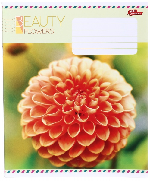 Тетрадь школьная 36 листов в линейку в ассортименте Мечты сбываются