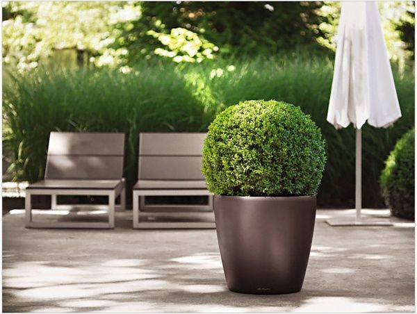 Вазон пластиковий Lechuza Classico Premium LS 28 круглий 19,9л кавовий (16041) 