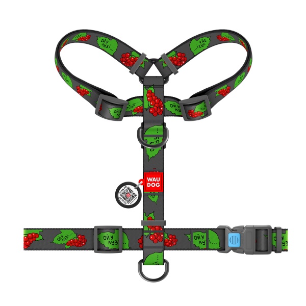Шлея Waudog Nylon Калина + QR паспорт H-подібна розмір М 5150-0228