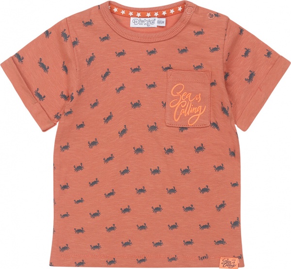 Футболка для мальчиков Dirkje р.92 красно-коричневый T46694-35 