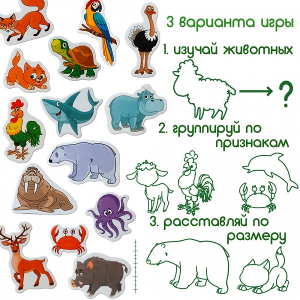 Набор магнитов Magdum Животные ML4031-16 EN