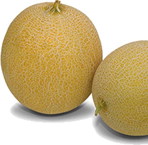 Семена Садовий Світ дыня Титовка 2г