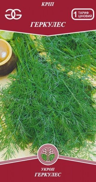 Семена пряных и зеленых культур