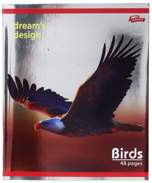 Тетрадь школьная серебро 4 листов в клеточку в ассортименте Мечты сбываются