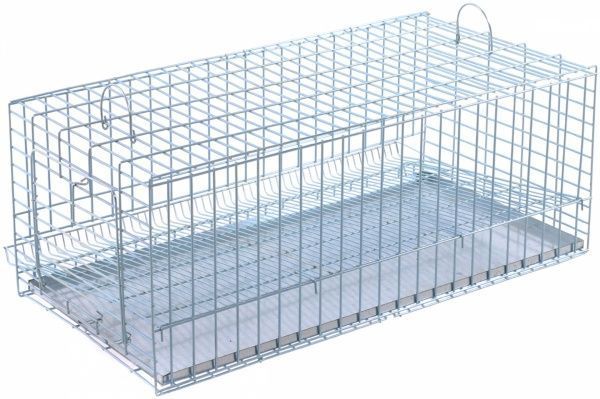 Клітка Лорі для перепілок 33х59х23,5 см