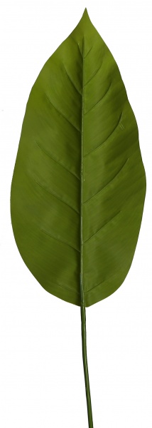 Веточка декоративная Spathiphyllum (DW-33) Engard