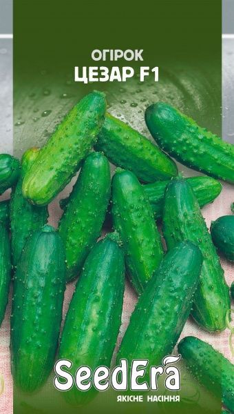 Насіння Seedera огірок Цезар F1 0,5г