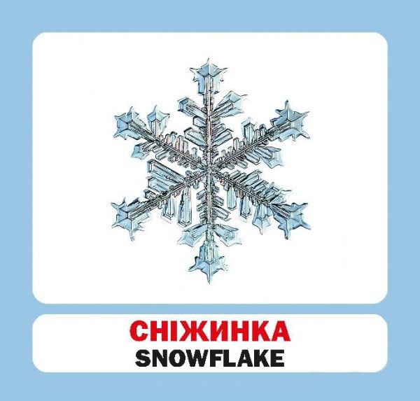 Книга «Навчальний посібник. Пори року. англ-укр»