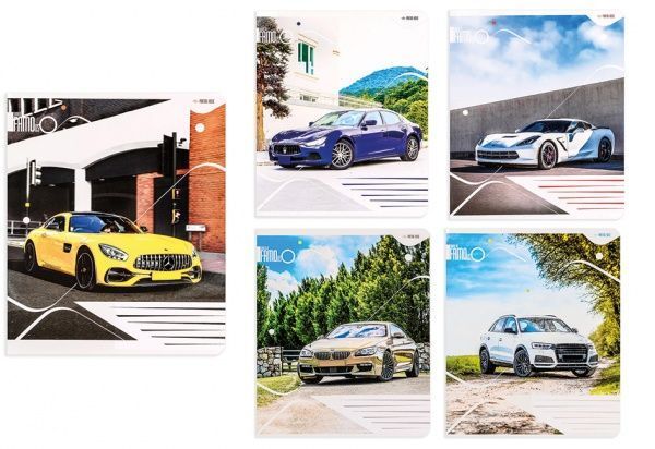 Комплект зошитів Популярні автомобілі 24 аркуша в клітку 20 шт. Поділля