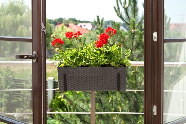 Горщик для квітів Lamela Бегонія ротанг прямокутний 37,7л графіт 