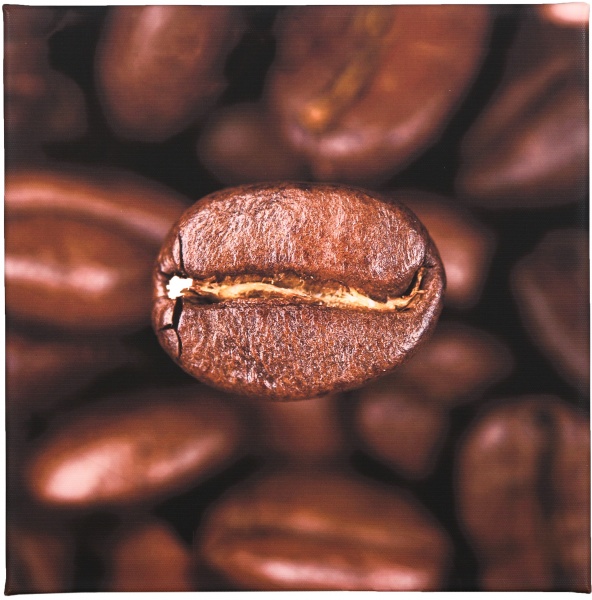 Репродукция 28х28 см AF20070312 Coffee Beans 087 RozenfeldArt 