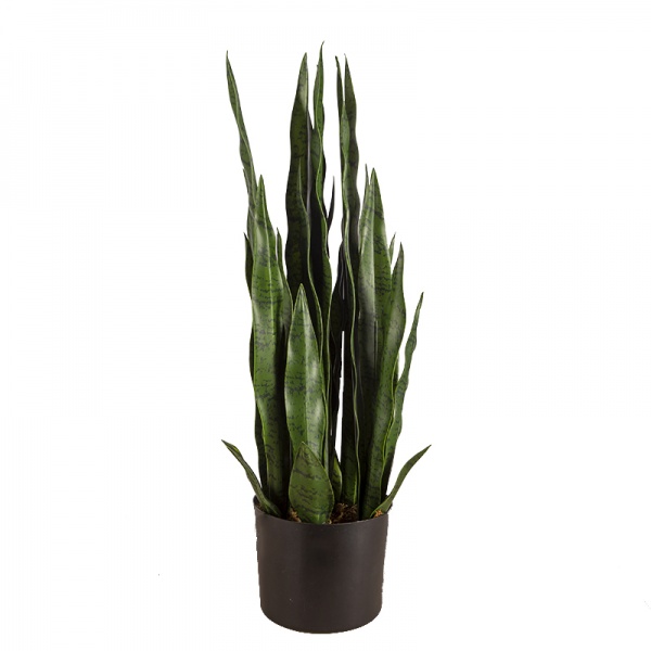 Рослина штучна Sansevieria (DW-10) Engard