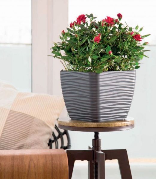 Вазон пластиковий Form Plastic Сахара міні Квадро-17 квадратний 3л сірий 