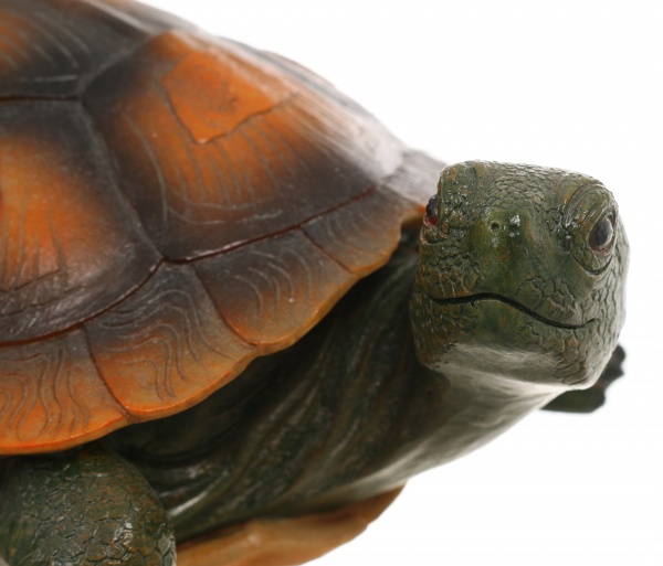 Фігура садова Черепаха 23x18x10 см MG1887610