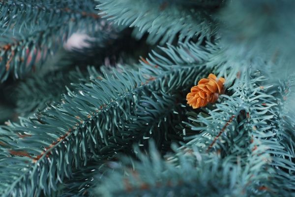 Елка искусственная Зоряна голубая 1.8 м литая зеленый 