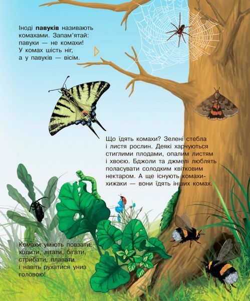 Книга Юлия Каспарова «Енциклопедія дошкільника: Комахи» 978-617-09-3729-2