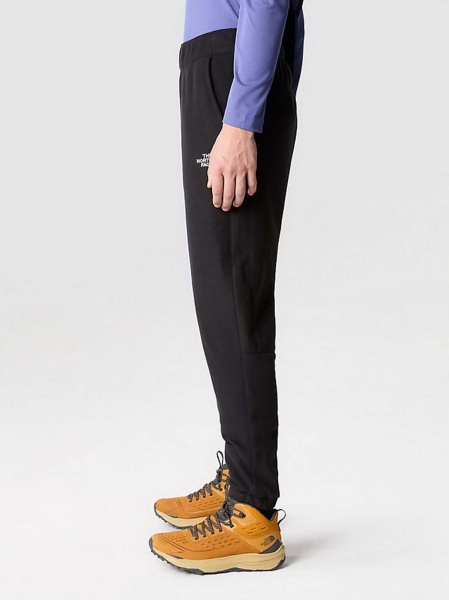 Штани THE NORTH FACE M 100 GLACIER PANT NF0A8561JK31 р. XL чорний