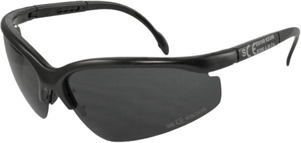 Очки защитные Reis Очки защитные REIS B306 S B306 S