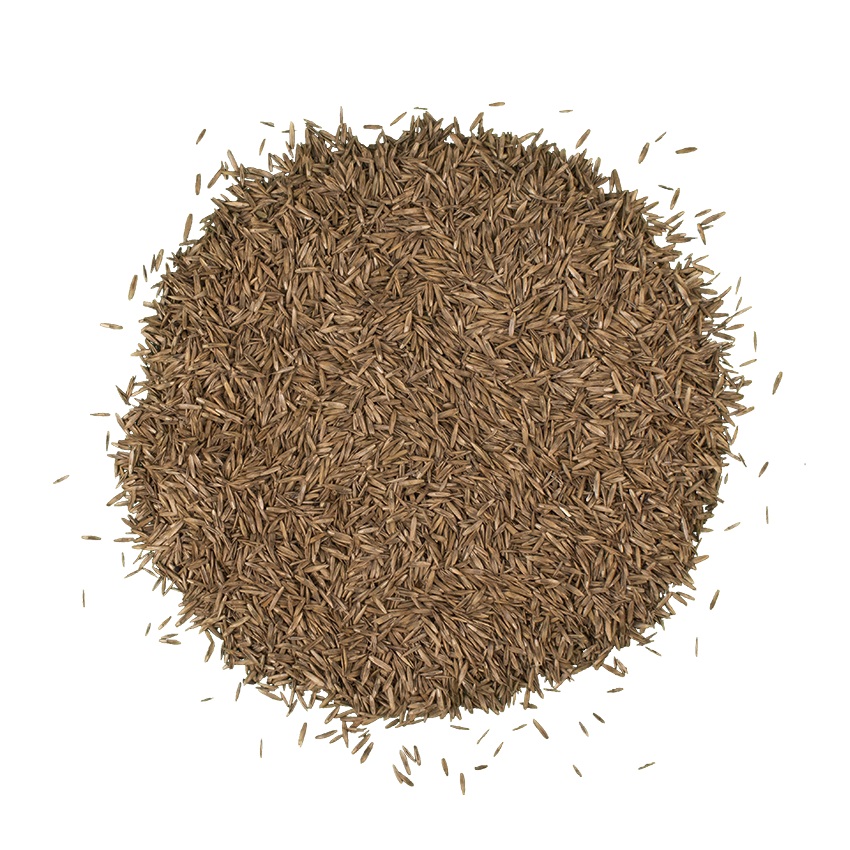 Смесь семян GREEN SEEDS газонная трава универсальная 1 кг