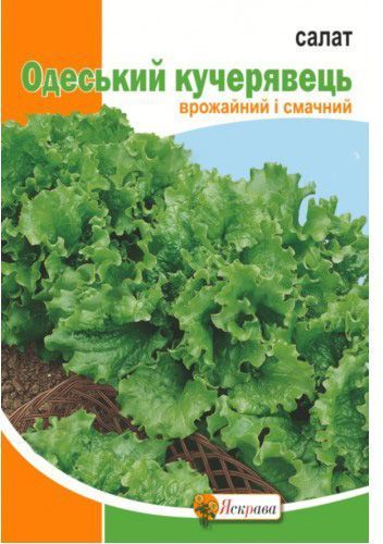 Насіння Яскрава салат листовий Одеський кучерявець 10 г