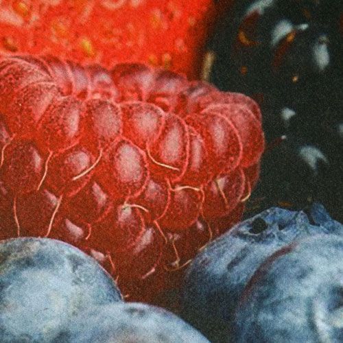 Килимок New Way Dolphin AT-014 0,45х0,75 м