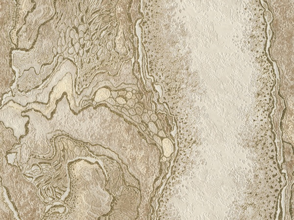 Шпалери вінілові на паперовій основі Слов'янські шпалери Expromt Анорія 5805-01 0,53x10,05 м 