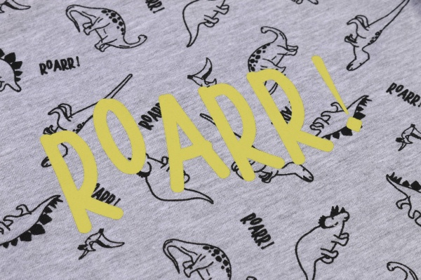 Джемпер для мальчика Funtime Roarr! р.116 серый 