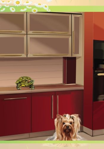 Книга Анна Макулина «Світ тварин: От хомячка до динозавра» 978-617-09-2460-5