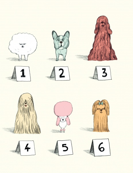 Книга Антонио Фиксетти «Собаки і коти з погляду науковців» 978-617-7853-73-1